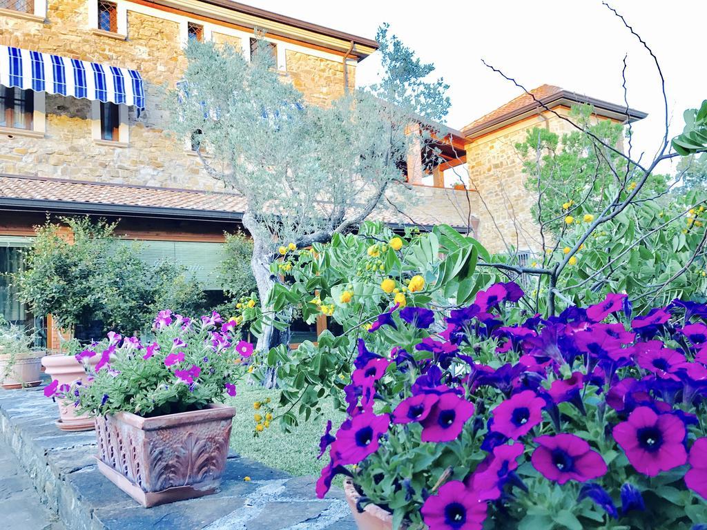 Casa Vacanze Il Cenito Castellabate Bagian luar foto