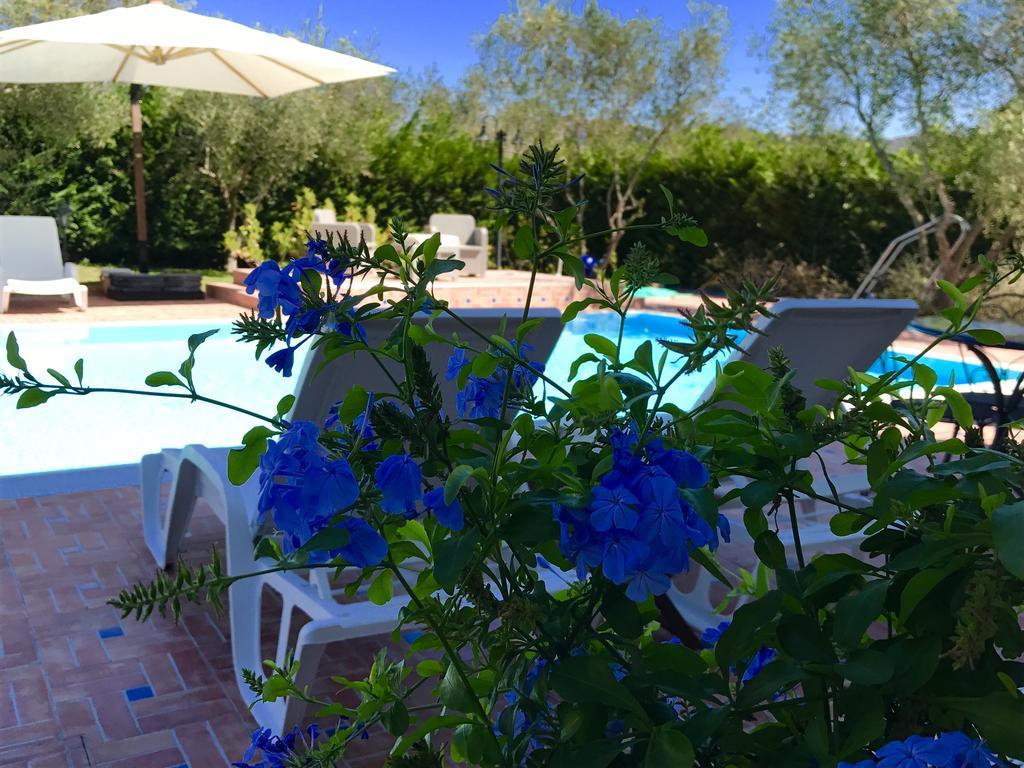 Casa Vacanze Il Cenito Castellabate Bagian luar foto