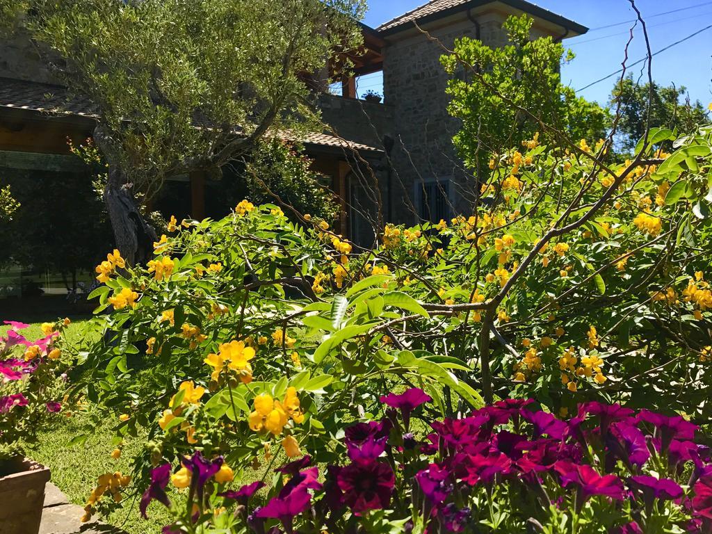 Casa Vacanze Il Cenito Castellabate Bagian luar foto
